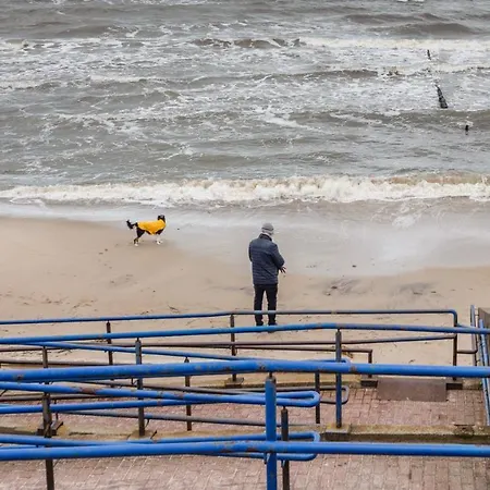 Jantaris, Sun & Snow *